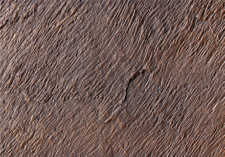 环亚集团·AG88(中国游)官方网站